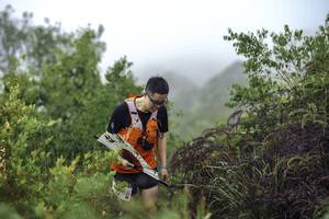 BIB: 
                            <button type="button" onclick="openModal(24734664)" class="btn btn-primary btn-sm float-right btn-popup" data-toggle="modal" data-target=".modal-high-quality">
                        <i class="fas fa-shopping-cart"></i> Add to Cart
                    </button>
                                            <button type="button" onclick="isThisMe(24734664, true)" class="btn btn-success btn-sm float-right btn-popup btn-isme hidden" data-toggle="tooltip" data-placement="bottom" title="นี่คือรูปของคุณใช่ไหม คลิกที่นี่เพื่อเอาเข้าอัลบั้ม">
                        <i class="fas fa-plus"></i> Add to album
                    </button>
                    <button type="button" onclick="isThisMe(24734664, false)" class="btn btn-warning btn-sm float-right btn-popup btn-isnotme hidden">
                        <i class="fas fa-ban"></i> Remove from album
                    </button>